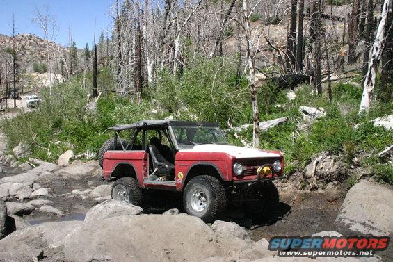 Red Ford Bronco with white hood navigating a rocky stream bed, trees and dry brush in background