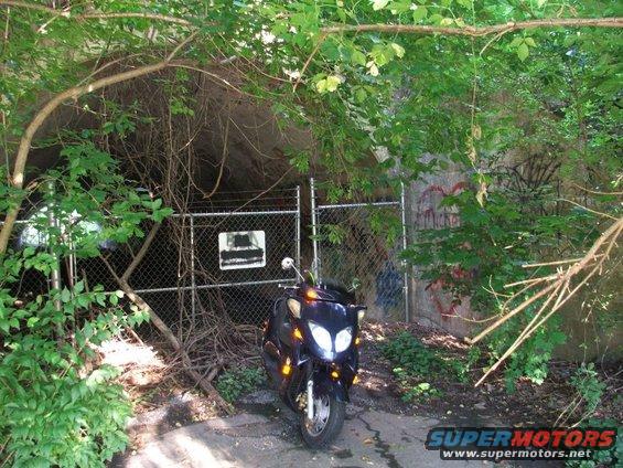 Dark scooter parked in front of a chain-link fence and overgrown entrance