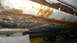 1993 Ford Taurus photo