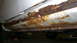 1993 Ford Taurus photo