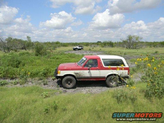 Red and white Ford Bronco driving on a muddy dirt road with green grass and sunflowers