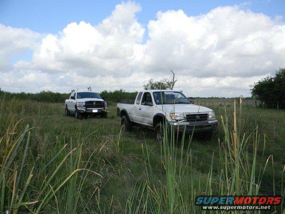 White Toyota Tacoma and white Dodge Ram pickup trucks parked in a grassy field under a cloudy sky