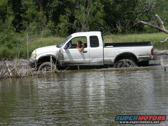 White pickup truck stuck in shallow water with reeds on the left