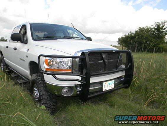 White pickup truck with a black bull bar parked in tall grass