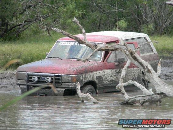 Red and white SUV stuck in mud and water, branches in foreground