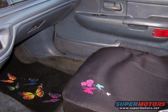 100_3240.jpg My butterfly theme for the interior.... Awww how cute.... 