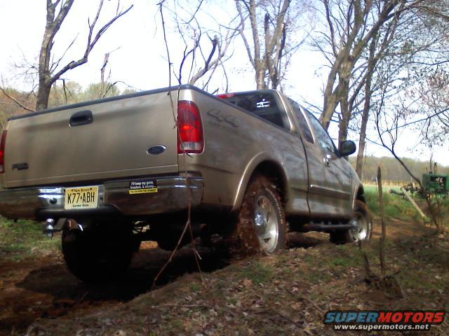 Gold Ford F-150 stuck in mud, rear quarter view. License plate K77-ABH