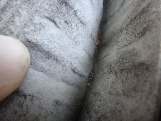 Close-up of gray interior fabric with a thumb visible on the left