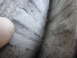 2003 Ford Taurus - A close-up view of the interior fabric, showing texture and a portion of a thumb on the left side.