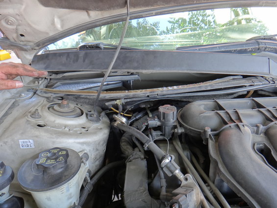 Car engine bay with focus on hoses and engine parts. A hand is visible on the left near the windshield wiper area