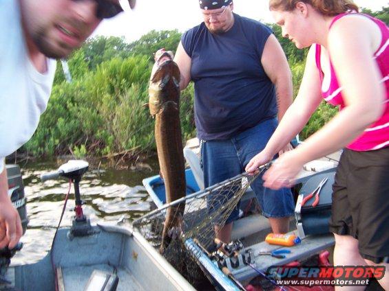 100_3626-(2).jpg