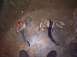 1991 Ford Crown Victoria - Comparison of two brake and clutch pedal assemblies, likely for a Ford vehicle.