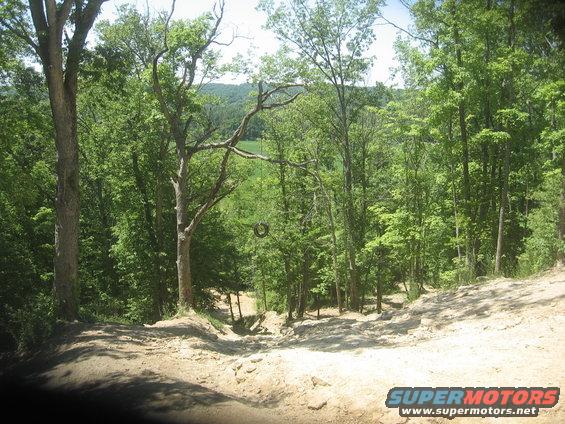 Dirt path through woods with a tire hanging from a tree branch