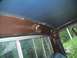 1978 Ford F-250 - Interior view of a truck cab, showing the headliner and window frame, with trees visible outside.