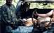 1979 Ford Bronco - This is my freinds 4 point bull and my elk that as best as we can figure we shot them at the same time, but we were a f…
