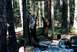 1979 Ford Bronco - This is them hanging back at camp. Four years I have hunted that spot and finally not only one but two elk. It was a go…