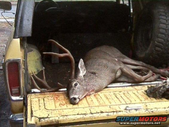 buck-nov.-03-2.jpg Just another bragging pic.