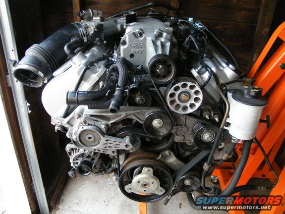 Ford SVT supercharged engine with serpentine belt system and power steering reservoir