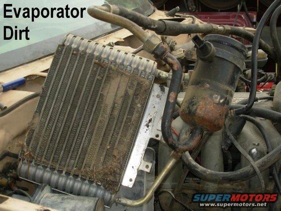 evapdirt.jpg This is an extreme case, but all evaporators collect trash & dirt.  With the evaporator out of its housing like this, it's easy to vacuum it off and then hose it out.  Be careful not to fold the fins over.

[url=http://www.supermotors.net/registry/media/309100][img]http://www.supermotors.net/getfile/309100/thumbnail/52evap.jpg[/img][/url]

Note that this system is still fully assembled & charged with refrigerant.  There is no need to vent refrigerant for this or many other operations.  The complete refrigerant system can be removed/installed while fully assembled & charged.

To prevent reoccurrence, add screens to the fresh air intake under the wiper valance.  To keep leaves out of the passenger side (where the HVAC intake is) and force them to the unused driver's-side drain, add screen at the top, just below the wiper valance:
[url=https://www.supermotors.net/registry/media/947911][img]https://www.supermotors.net/getfile/947911/thumbnail/22screen.jpg[/img][/url] . [url=https://www.supermotors.net/registry/media/947912][img]https://www.supermotors.net/getfile/947912/thumbnail/22screeo.jpg[/img][/url] . [url=https://www.supermotors.net/registry/media/947910][img]https://www.supermotors.net/getfile/947910/thumbnail/22screep.jpg[/img][/url]

To keep leaves out of the ventilation system, add screen inside the cowl by removing the wiper valance & working through the rubber plug under the antenna:
[url=https://www.supermotors.net/registry/media/955476][img]https://www.supermotors.net/getfile/955476/thumbnail/22screeq.jpg[/img][/url]

See also:
[url=https://www.supermotors.net/vehicles/registry/media/769742][img]https://www.supermotors.net/getfile/769742/thumbnail/02casescrews.jpg[/img][/url] . [url=https://www.supermotors.net/registry/media/724416][img]https://www.supermotors.net/getfile/724416/thumbnail/tsb950615acwhistle.jpg[/img][/url] . [url=https://www.supermotors.net/registry/media/724419][img]https://www.supermotors.net/getfile/724419/thumbnail/tsb950716blowerice.jpg[/img][/url] . [url=https://www.supermotors.net/registry/media/491916][img]https://www.supermotors.net/getfile/491916/thumbnail/acdiagnosis.jpg[/img][/url] . [url=https://www.supermotors.net/registry/media/724438][img]https://www.supermotors.net/getfile/724438/thumbnail/tsb951110accables.jpg[/img][/url] . [url=https://www.supermotors.net/registry/media/665548][img]https://www.supermotors.net/getfile/665548/thumbnail/tsb961307hvaccable.jpg[/img][/url] . [url=https://www.supermotors.net/registry/media/724076][img]https://www.supermotors.net/getfile/724076/thumbnail/tsb911505acswitchodor.jpg[/img][/url]