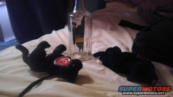 Two black stuffed panthers, one with a Ty Beanie Baby tag, next to an empty bottle of American Honey whiskey on a white comforter