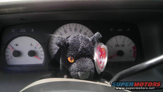 Dashboard of a 2000 Mercury Grand Marquis with a plush toy on it