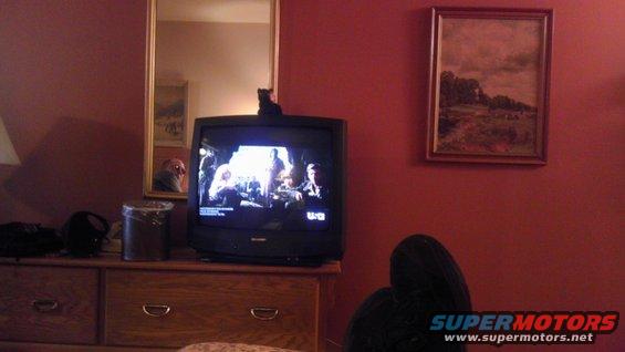 Television screen displays a scene with people; a cat sits on top of the TV