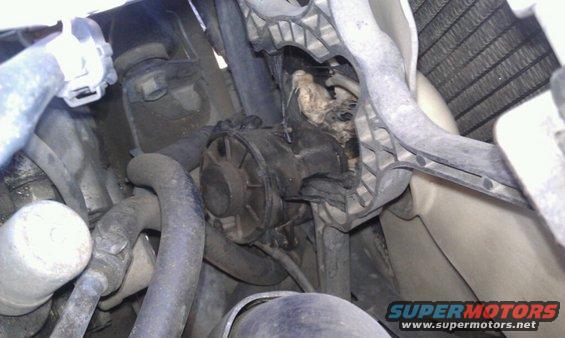 Engine bay with hoses and fan shroud. Water damage is visible