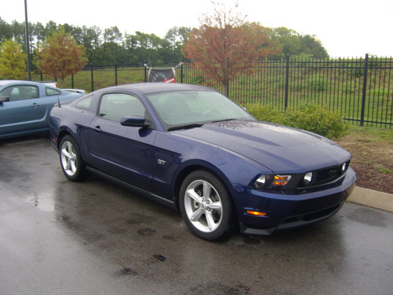 Blue Ford Mustang GT coupe parked on wet asphalt, with a black fence and trees in the background