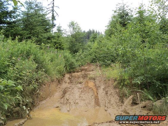 Muddy off-road trail with deep ruts and standing water, surrounded by dense green foliage and trees