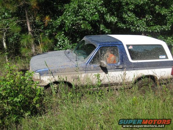 Mud-covered blue and white Ford Bronco stuck in tall grass and mud