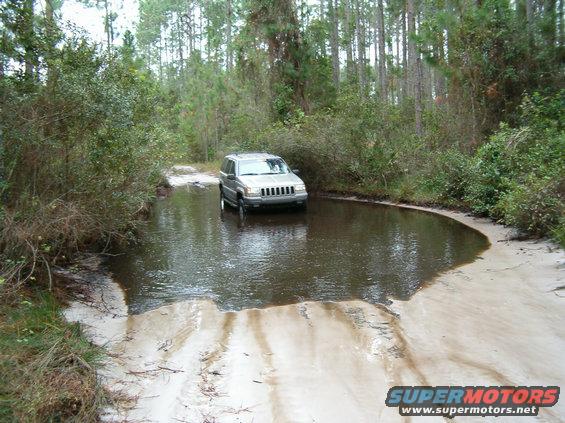 jay4.jpg Jay at another hole