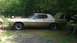 1973 Ford Torino - Side view of a 1973 Ford Torino coupe with its hood and trunk open, parked in a grassy area.