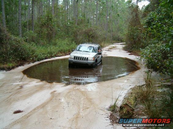 jay7.jpg Yet more water