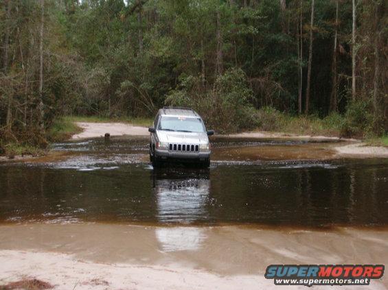 jay10.jpg Water again?