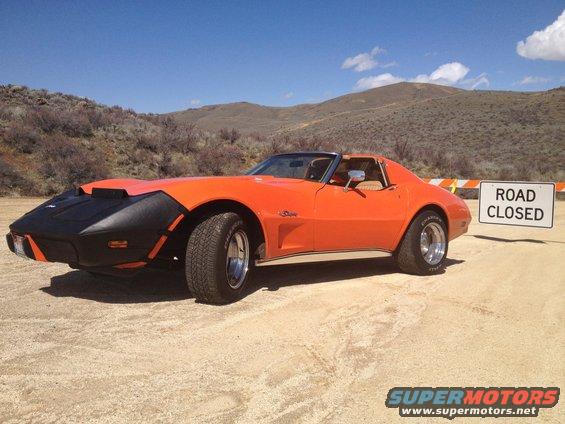 vette.jpg Not a fan of bras, but it keeps her nose safe from the chip-sealed roads...
