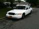 1999 Ford Crown Victoria - A white sedan is parked on the side of the road with other vehicles visible in the background.