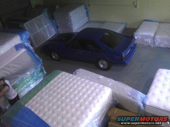 mustang1.jpg 