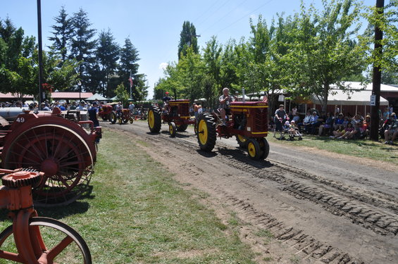 Red and yellow tractors in a parade on a dirt road, with spectators on the side