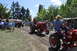 1959 Kenworth W900A - Several tractors are driven in a procession on a sunny day, observed by a crowd.