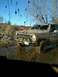1986 Ford Bronco photo