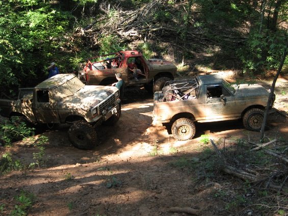 Three muddy off-road vehicles are on a dirt path in a wooded area. One truck is on the left, a red truck is in the middle, and a Bronco is on the right