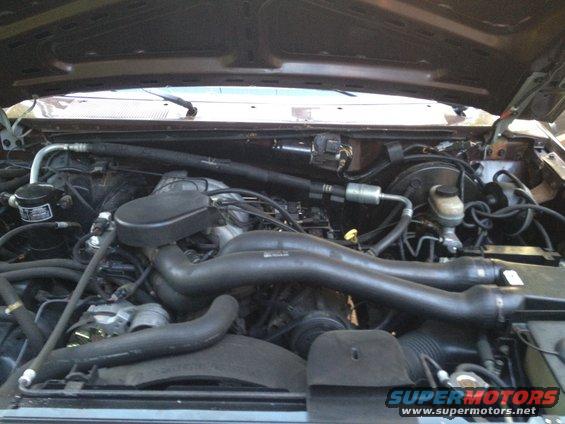 Engine bay of a 1991 Ford Bronco, showing hoses, belts, and engine components