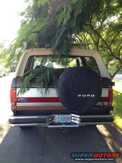 Rear view of a 1991 Ford Bronco with a spare tire and branches in the cargo area