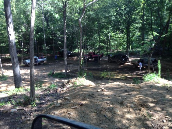 Several off-road vehicles parked in a clearing within a forest. A silver pickup truck is visible on the left