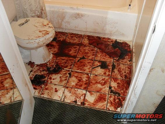 Bloody bathroom scene with a toilet and bathtub
