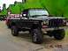 1979 Ford F-250 photo