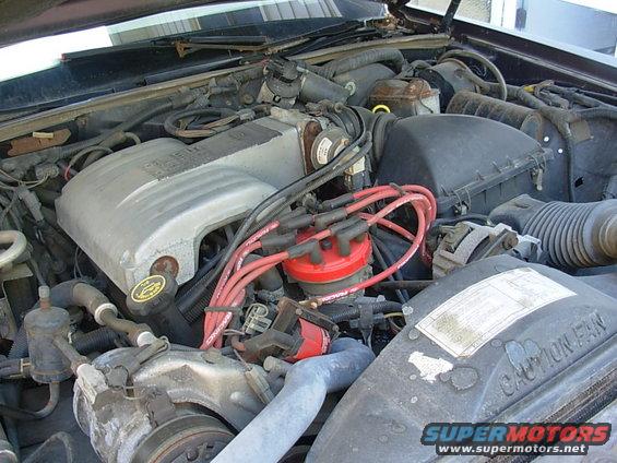 Engine bay of a 1988 Lincoln Town Car, showing the V8 engine with red spark plug wires and a silver intake manifold