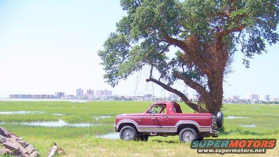 Red 1984 Ford Bronco parked under a large oak tree, side view
