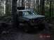 1989 Ford Bronco - Big Blazer in the trees