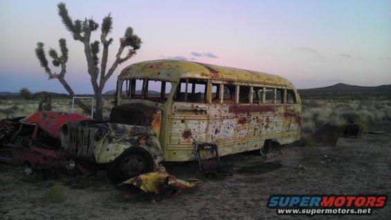 Wrecked school bus and car in desert landscape with Joshua trees